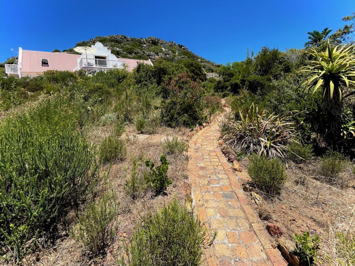 Windrose, Noordhoek, Sensationeller Meerblick Cidade Do Cabo Exterior foto